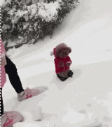 當南方狗到了北方后...笑瘋了！