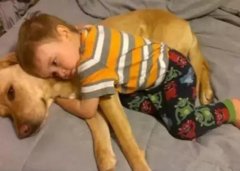 養狗千日，用在一時。。。。。