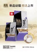 爵加新品幼貓精選上市！