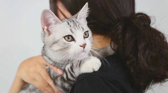 元旦丨新的一年,寵愛有加